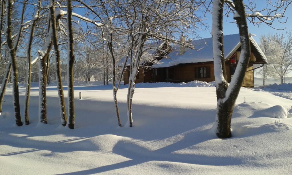 House Marijana Villa Rakovica Eksteriør bilde